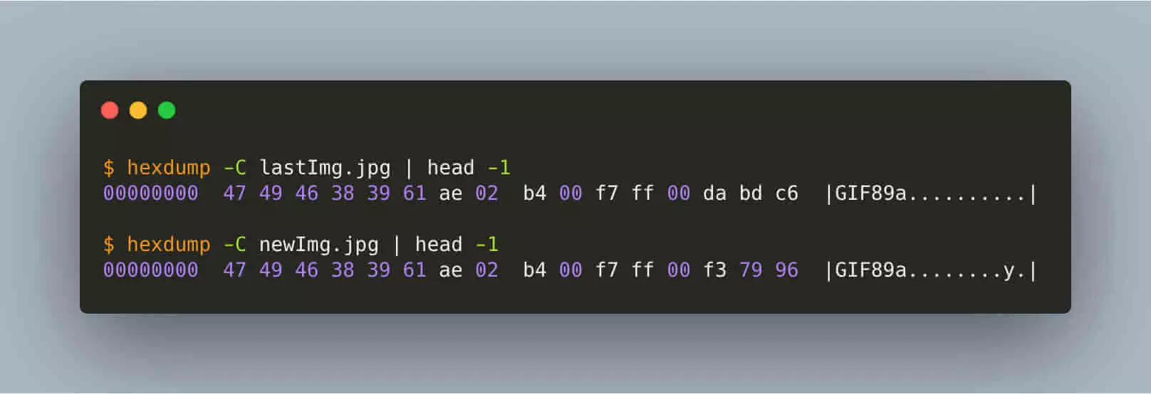 记一次GIF的问题的排查与探索